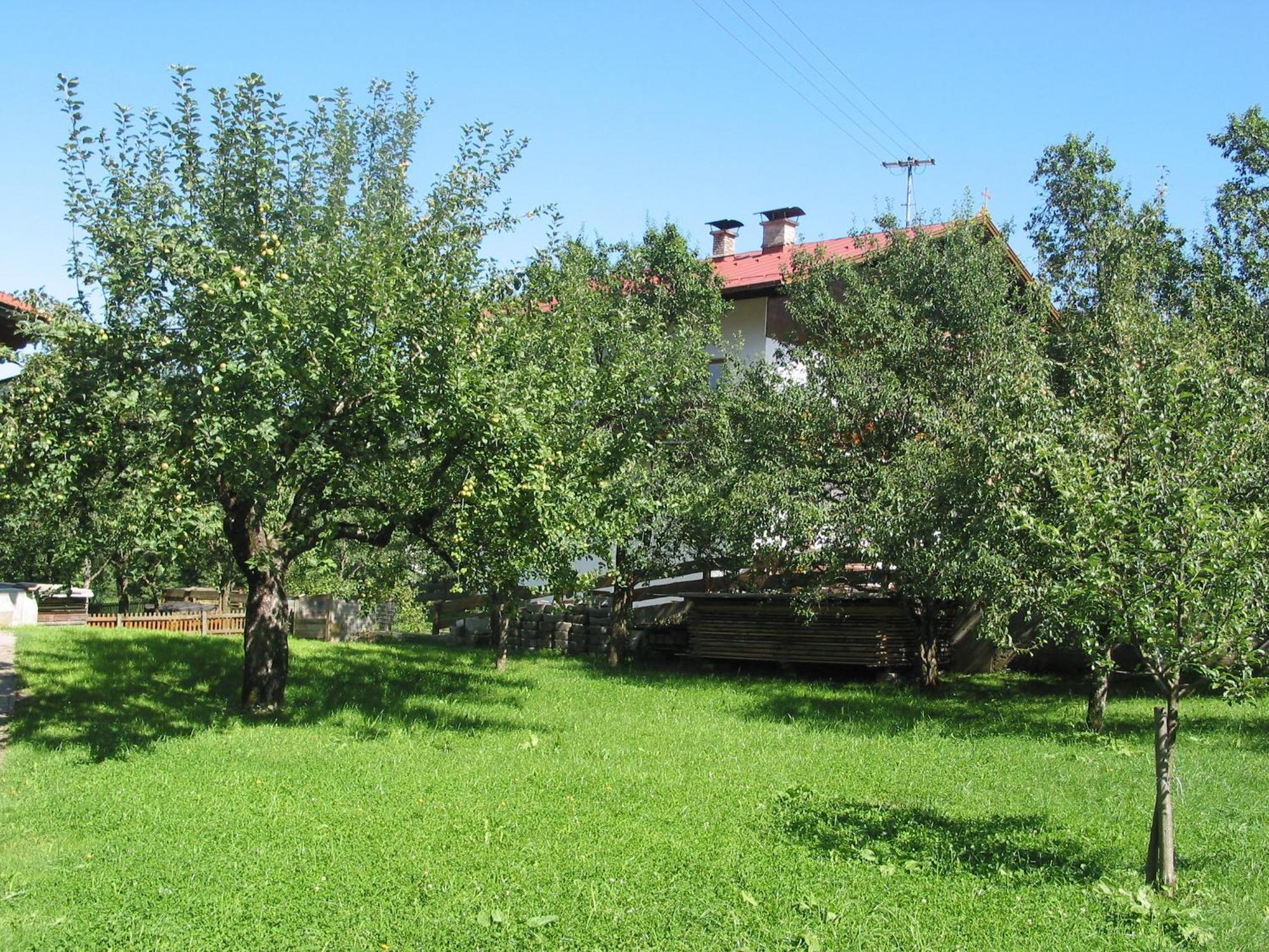 Ferienwohnung Haus Seiwald Niederau Exterior foto